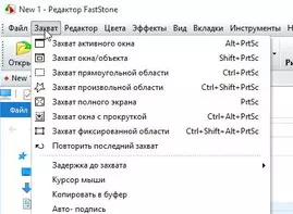 FastStone Capture для Windows 10